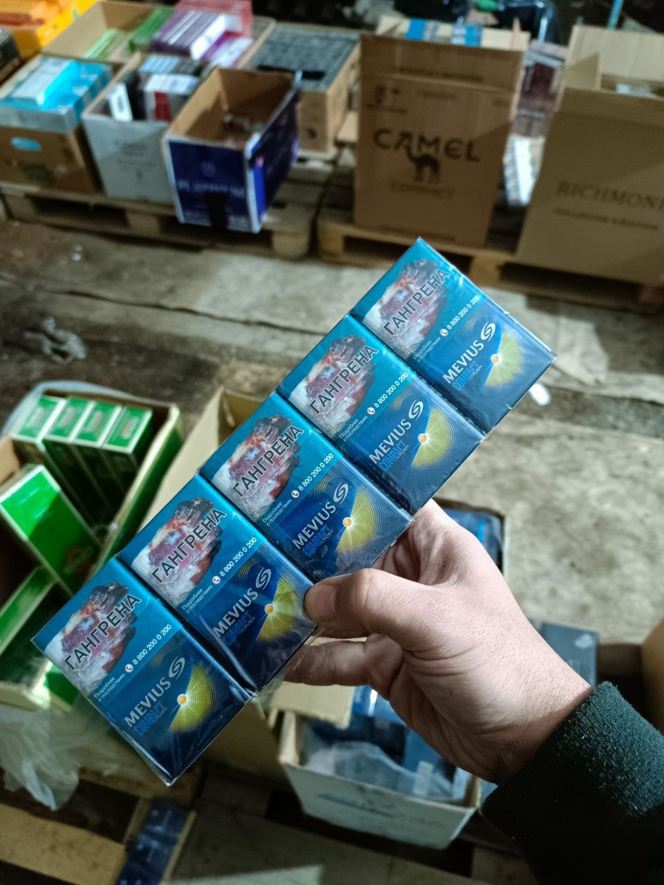 Mevius QS Compact (дыня, кнопка)