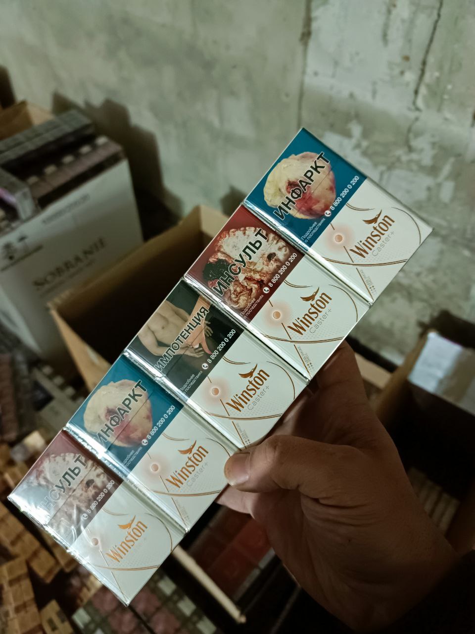 Winston Caster+ Compact (манго, кнопка)