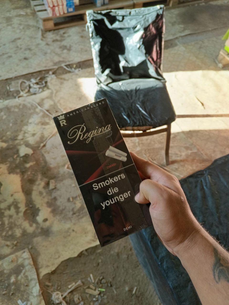 Regina QS Cherry (вишня)