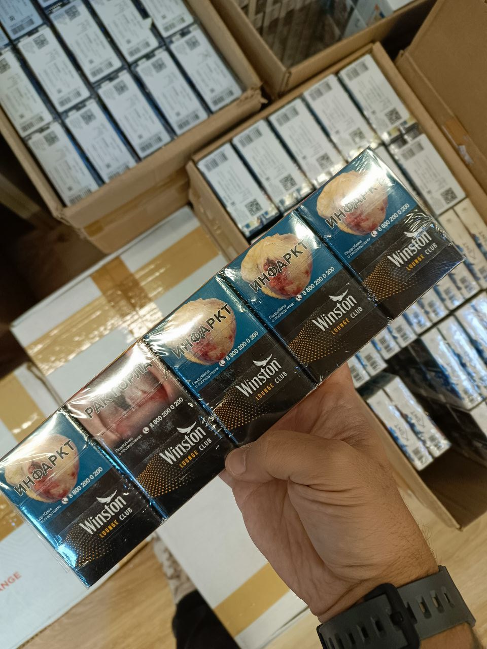 Winston Lounge Club (Compact)