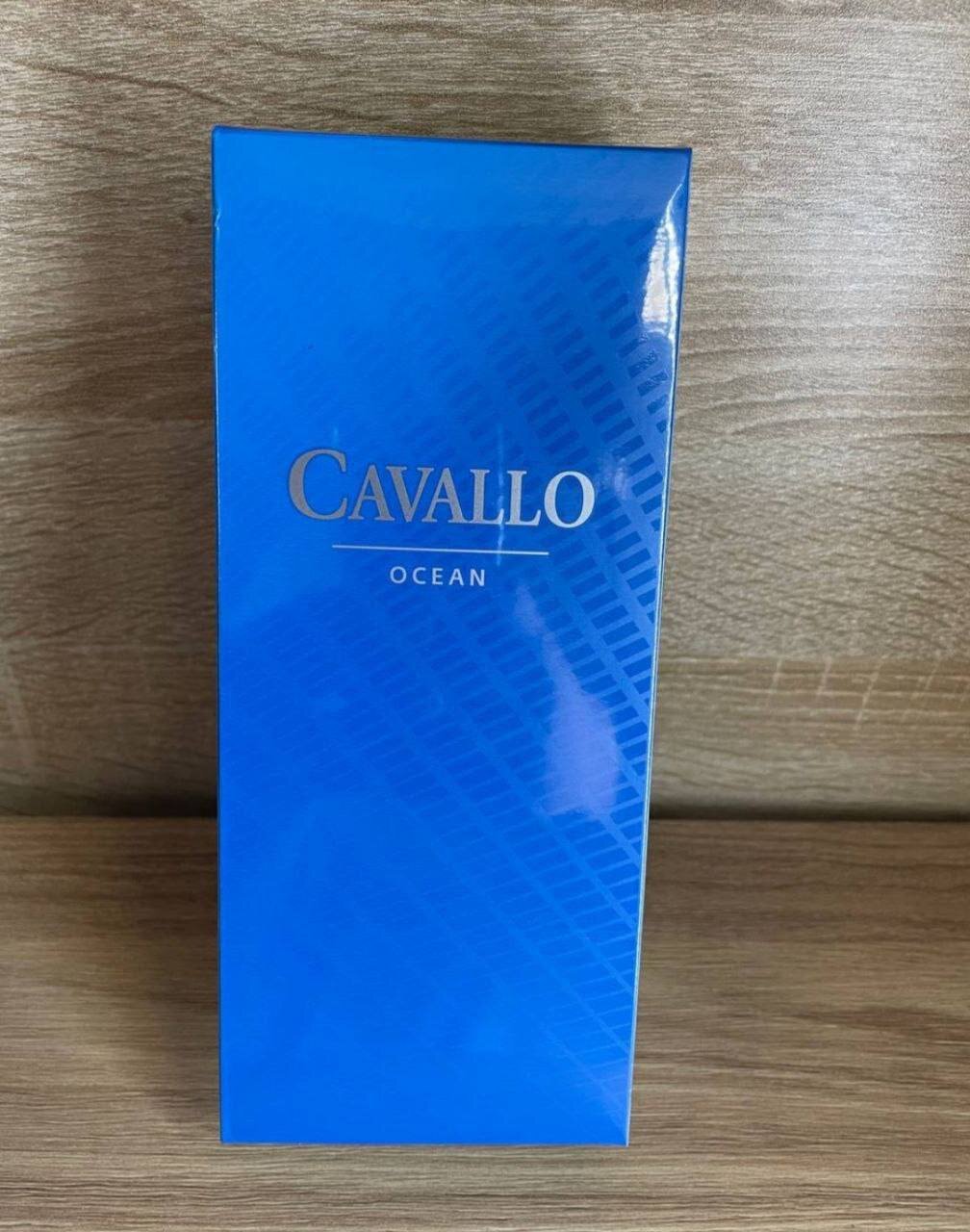Cavallo QS Ocean