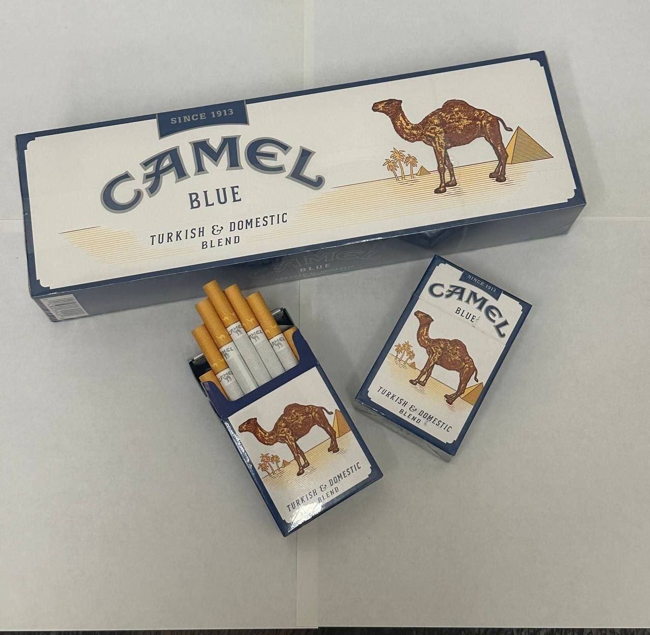 Camel Turkish Blue Domestic